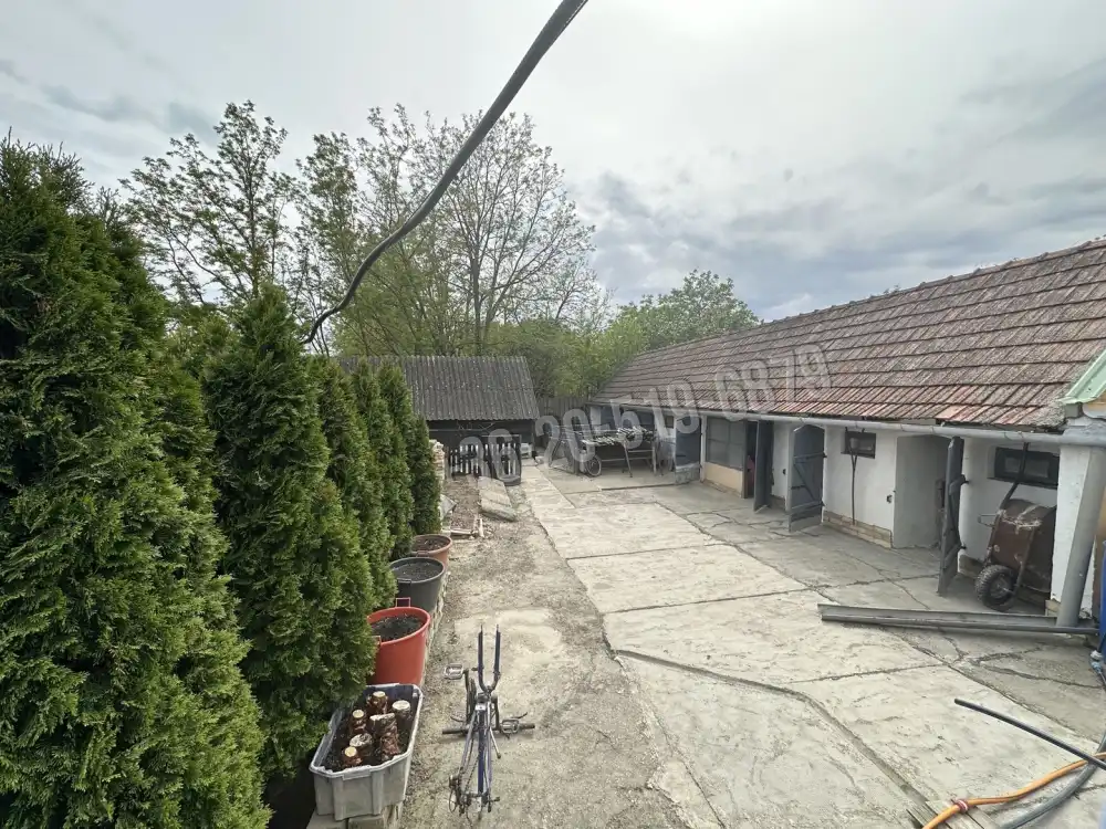 Bács-Kiskun megye - Uszód