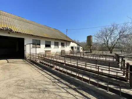 Eladó mezőgazdasági ingatlan, Bölcske 65000 m² 199 M Ft